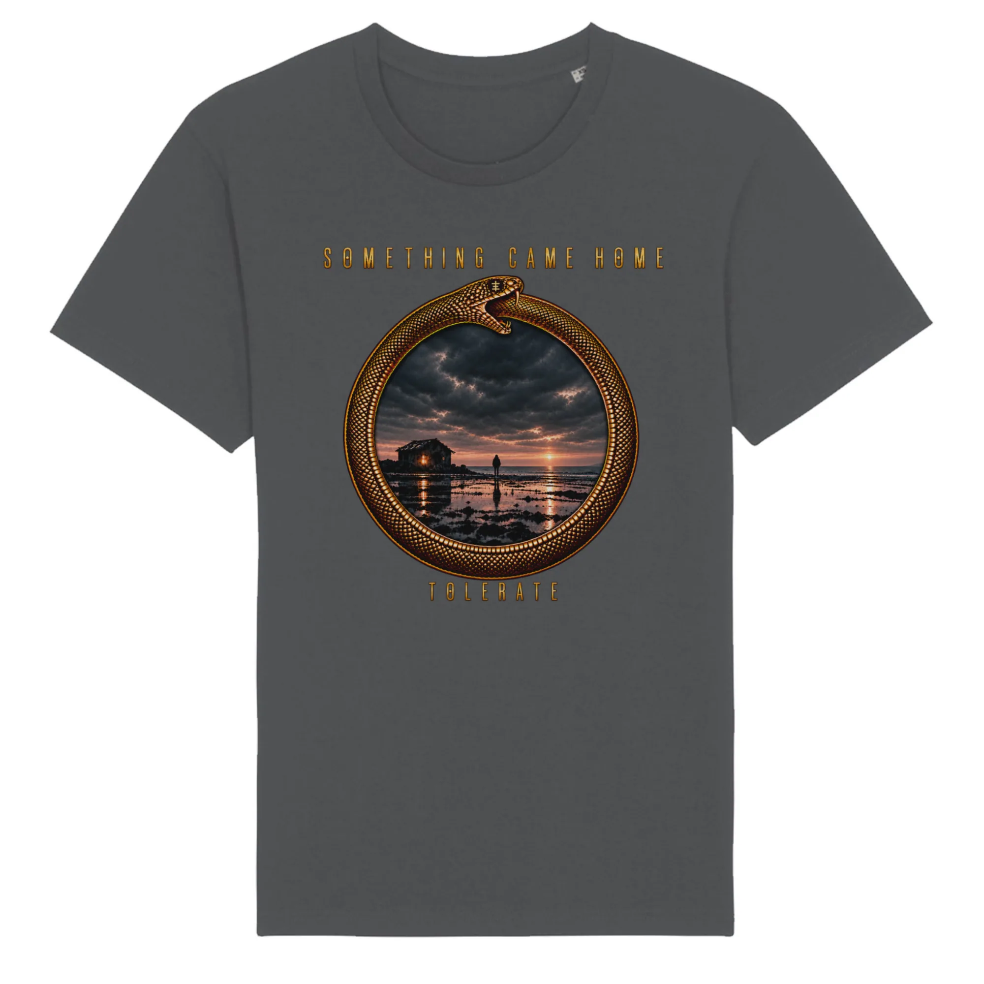 Color tee in Anthracite, front view: gold ouroboros ring framing a stormy sunset over a tidal flat, with the band name above and TOLERATE below.